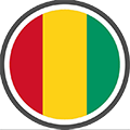 flag guinea -1